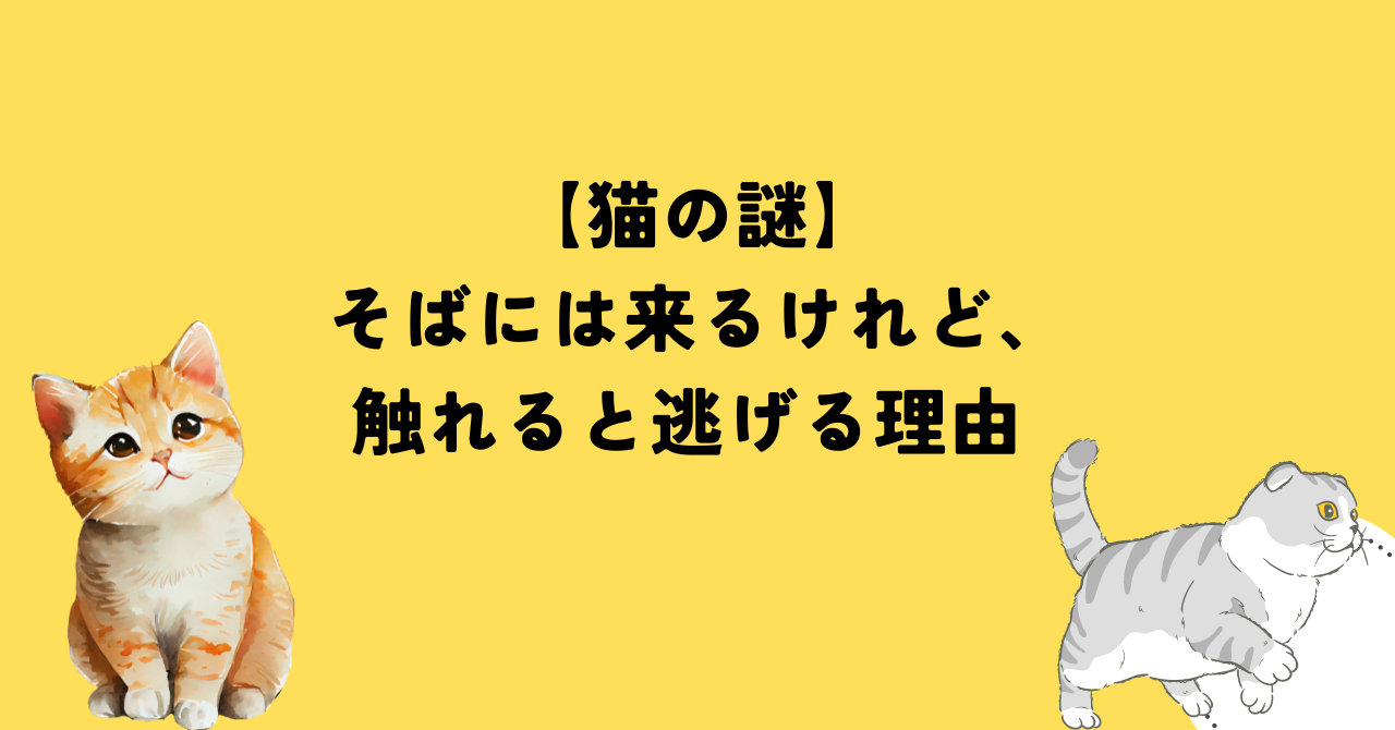 【猫の謎】そばには来るけれど、触れると逃げる理由